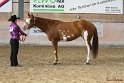 22-APHA HOTC_040